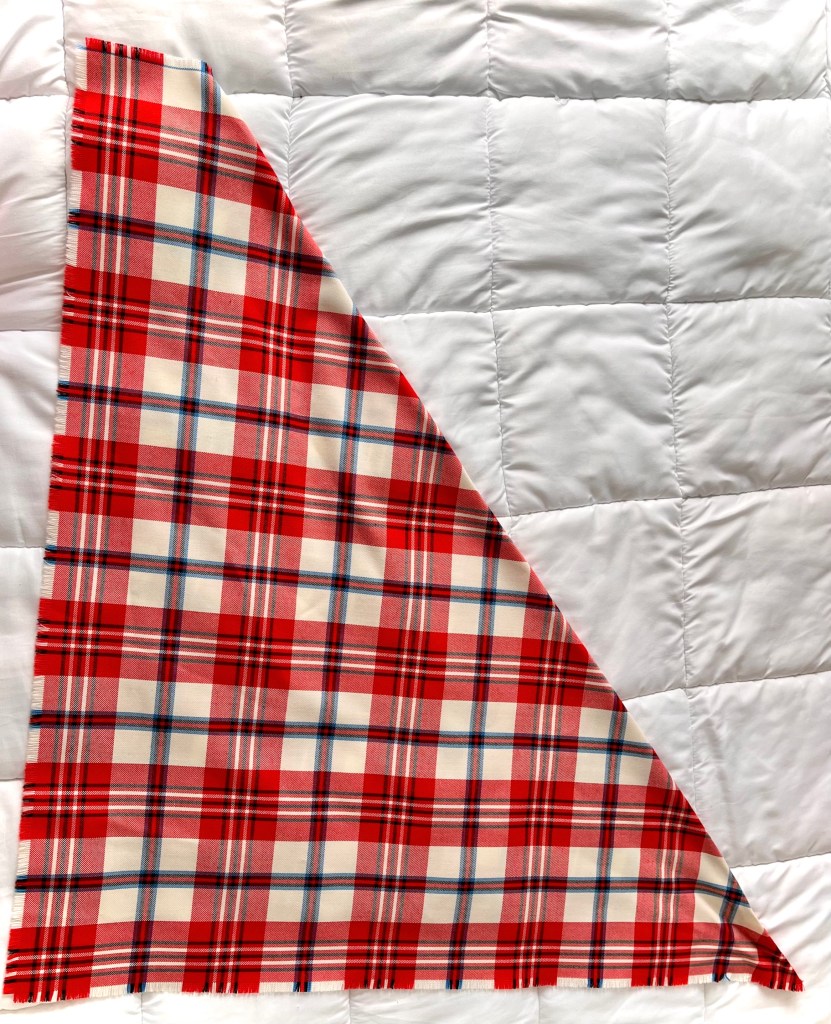 A red plaid and velvet outfit